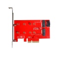 i-tec PCI-E 2x M.2 Card (PCI-E/SATA) + LP