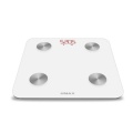 UMAX Smart Scale US20M